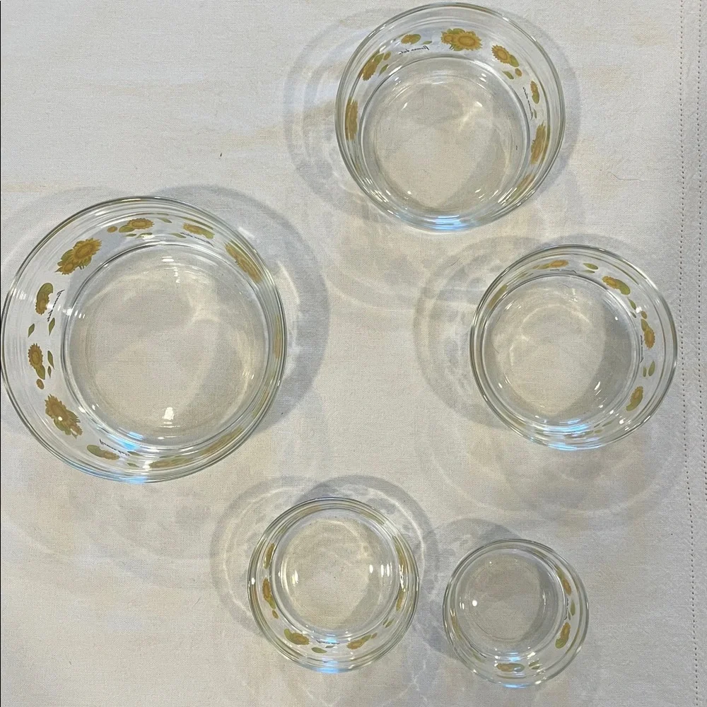 Glass Bowl Set